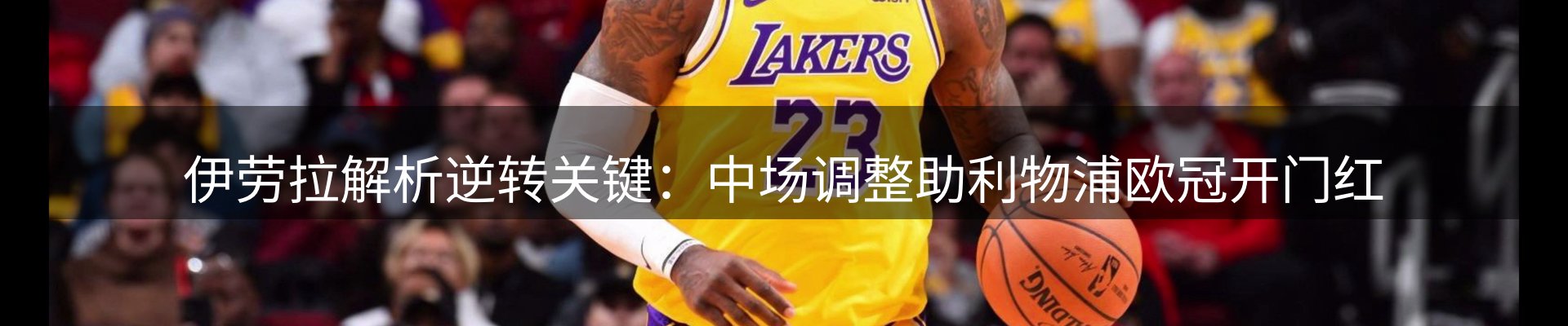 公司汇总