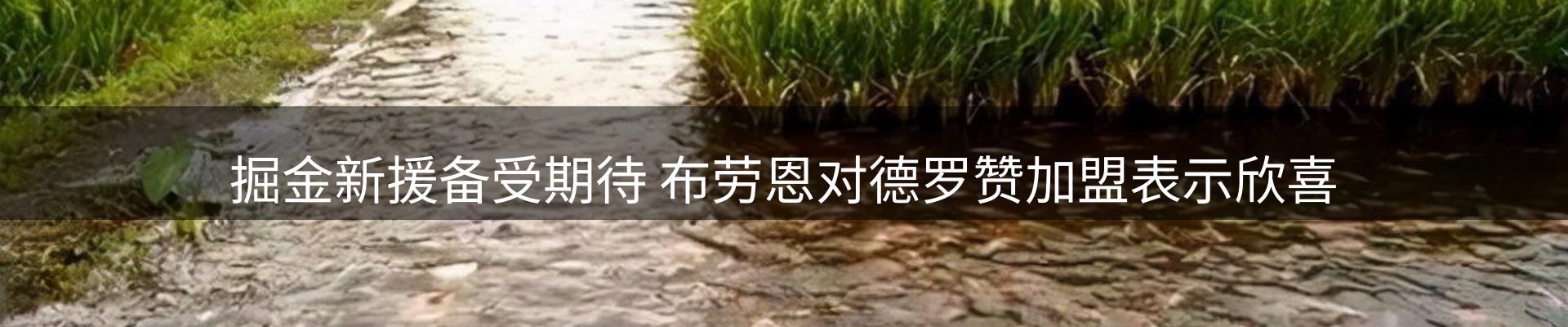 公司汇总